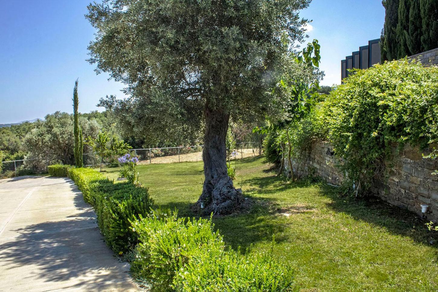 Arion Krini Villa Amnatos Экстерьер фото