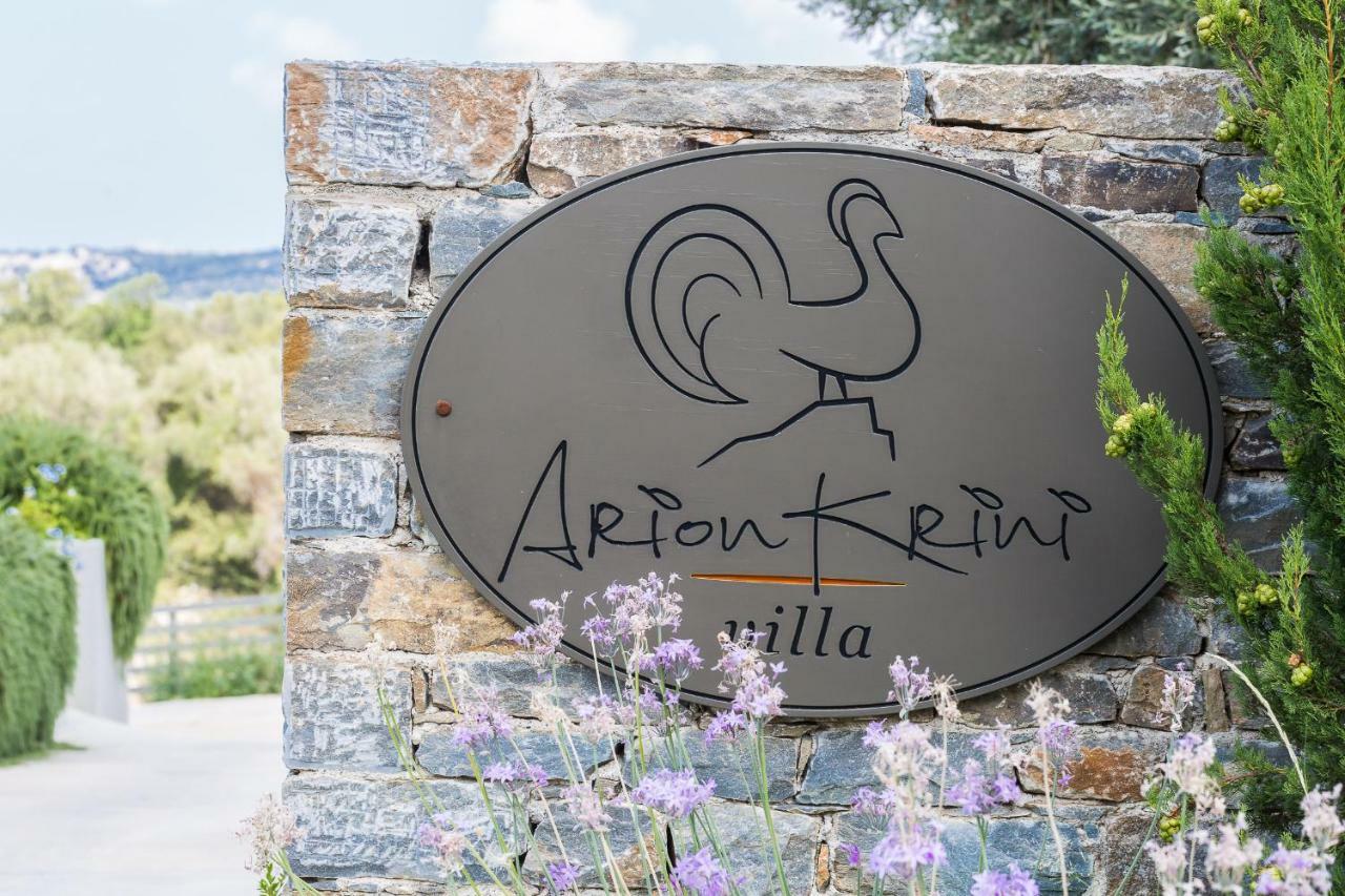 Arion Krini Villa Amnatos Экстерьер фото