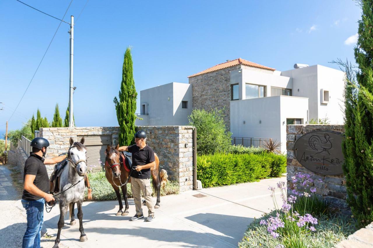 Arion Krini Villa Amnatos Экстерьер фото